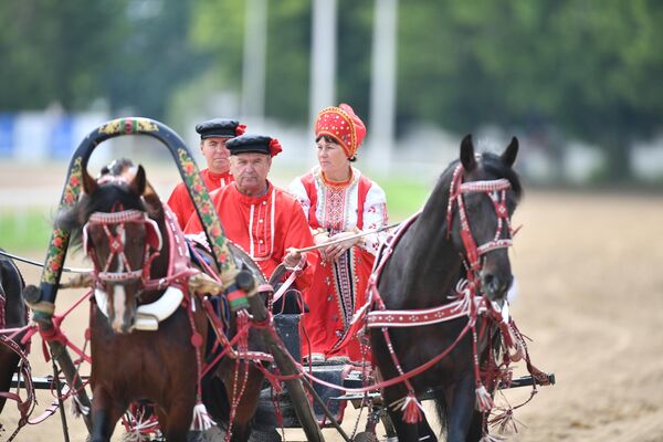 Участники XX Чемпионата России русских троек перед заездом на Центральном Московском ипподроме Участники XX Чемпионата России русских троек перед заездом на Центральном Московском ипподроме