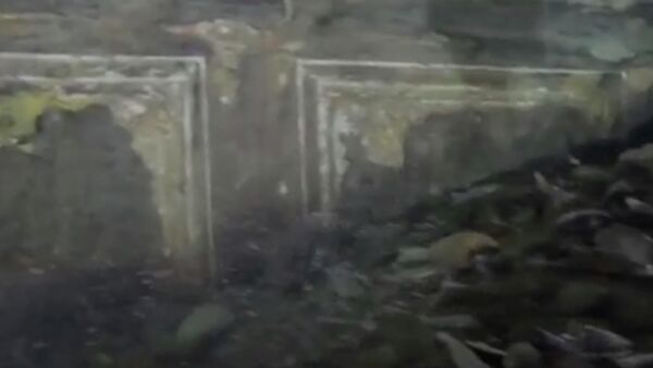 Скриншот видео с экспедиции Нептун Романа Дунаева в Крыму Скриншот видео с экспедиции Нептун Романа Дунаева в Крыму