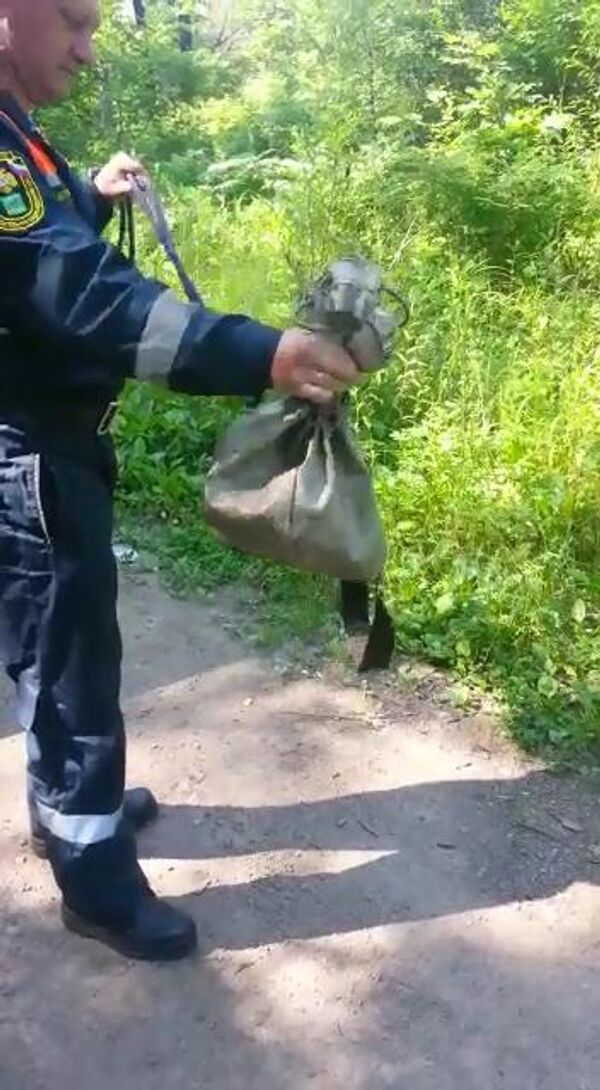 Спасатели МЧС отловили гадюку в центре Биробиджана. 15 июля 2019 Спасатели МЧС отловили гадюку в центре Биробиджана. 15 июля 2019