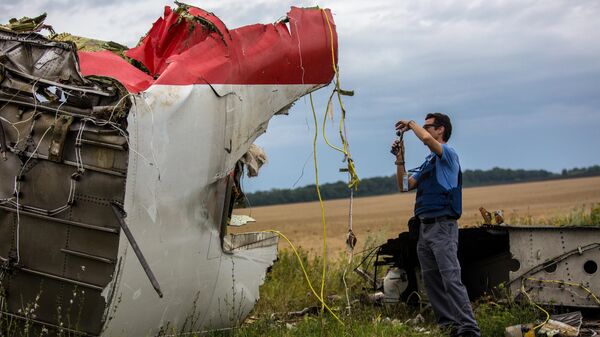 Эксперты миссии ОБСЕ на месте крушения лайнера Boeing 777 Малайзийских авиалиний в районе города Шахтерск Донецкой области