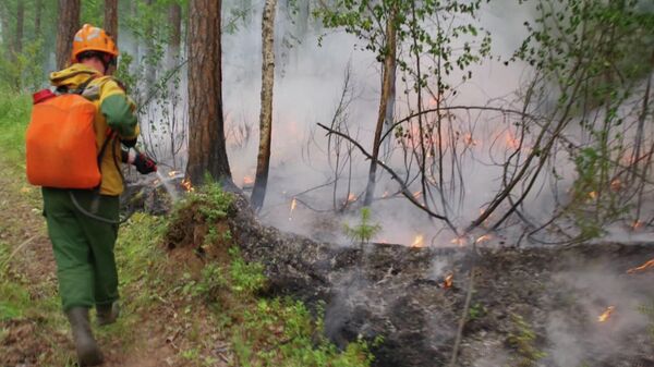 В Авиалесоохране объявили о начале третьего этапа лесных пожаров