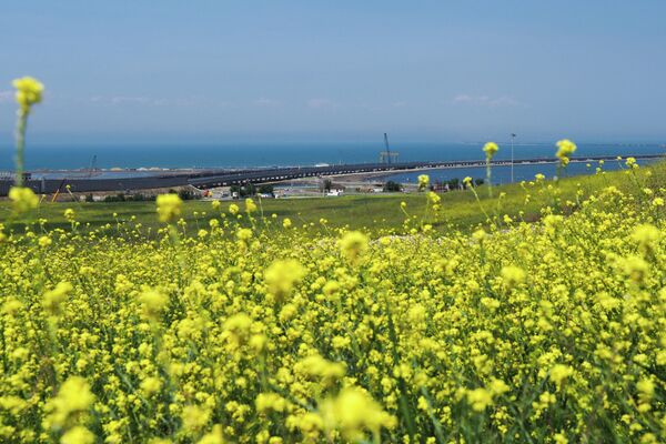 Таманский полуостров и Крымский мост Таманский полуостров и Крымский мост