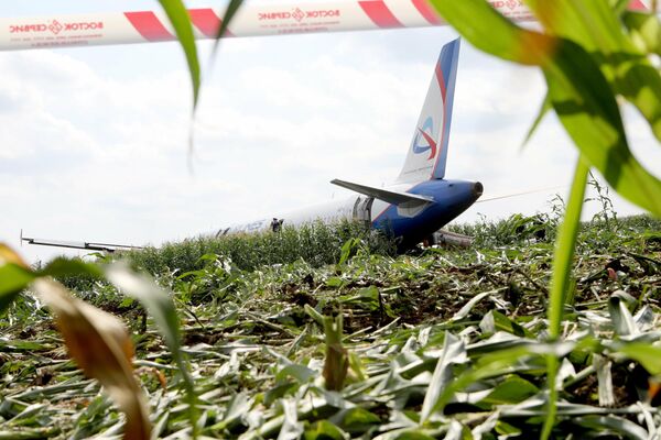 Последствия вынужденной посадки в Подмосковье лайнера Airbus А-321 авиакомпании Уральские авиалинии в результате попадания птиц в двигатели самолета Последствия вынужденной посадки в Подмосковье лайнера Airbus А-321 авиакомпании Уральские авиалинии в результате попадания птиц в двигатели самолета