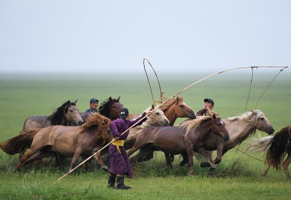 Коневоды в монгольской степи