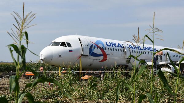 Самолет Airbus А321 авиакомпании Уральские авиалинии в кукурузном поле в районе деревни Рыбаки в Раменском районе Московской области Самолет Airbus А321 авиакомпании Уральские авиалинии в кукурузном поле в районе деревни Рыбаки в Раменском районе Московской области