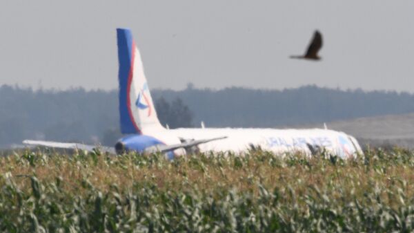 Самолет Airbus А321 авиакомпании Уральские авиалинии в кукурузном поле в районе деревни Рыбаки в Раменском районе Московской области Самолет Airbus А321 авиакомпании Уральские авиалинии в кукурузном поле в районе деревни Рыбаки в Раменском районе Московской области