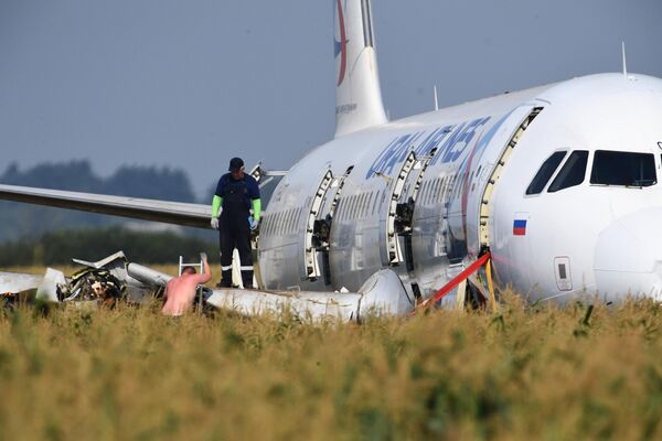 Самолет Airbus А321 авиакомпании Уральские авиалинии в кукурузном поле в районе деревни Рыбаки в Раменском районе Московской области Самолет Airbus А321 авиакомпании Уральские авиалинии в кукурузном поле в районе деревни Рыбаки в Раменском районе Московской области
