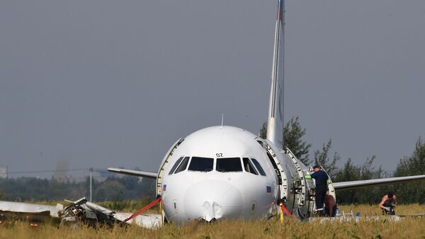 Самолет Airbus А321 авиакомпании Уральские авиалинии в кукурузном поле в районе деревни Рыбаки в Раменском районе Московской области. Самолет Airbus А321 авиакомпании Уральские авиалинии в кукурузном поле в районе деревни Рыбаки в Раменском районе Московской области.