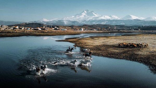 Ömerali Şenakaylı. Работа финалиста конкурса фотографии EyeEm Awards 2019 Ömerali Şenakaylı. Работа финалиста конкурса фотографии EyeEm Awards 2019