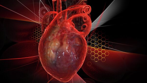 Программируемое сердце. Найден неожиданный способ лечения миокарда