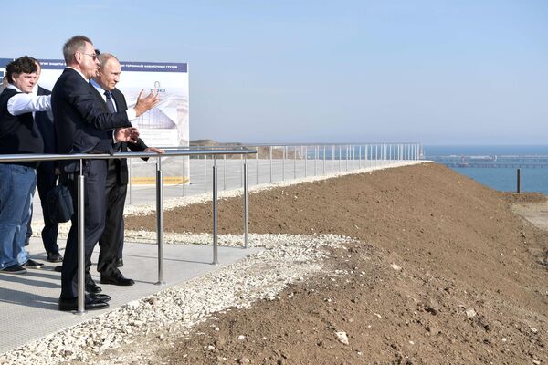 Президент РФ Владимир Путин во время посещения портово-индустриального парка ОТЭКО на Таманском полуострове Президент РФ Владимир Путин во время посещения портово-индустриального парка ОТЭКО на Таманском полуострове