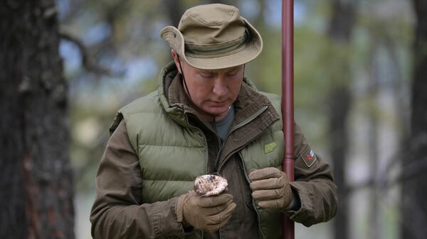 Президент РФ Владимир Путин во время прогулки в тайге Президент РФ Владимир Путин во время прогулки в тайге