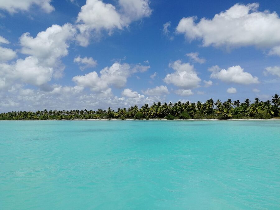 Доминикана. Карибское море. Остров Саона Доминикана. Карибское море. Остров Саона
