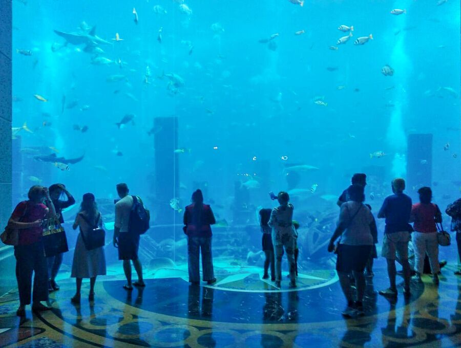 Аквариум в отеле Atlantis The Palm, Дубай, ОАЭ Аквариум в отеле Atlantis The Palm, Дубай, ОАЭ