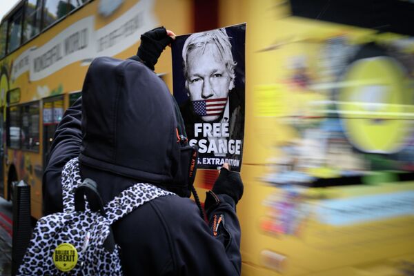 Участник акции против преследования основателя Wikileaks Джулиана Ассанжа в Лондоне Участник акции против преследования основателя Wikileaks Джулиана Ассанжа в Лондоне