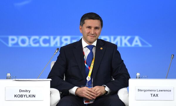 Министр природных ресурсов и экологии РФ Дмитрий Кобылкин на экономическом форуме Россия - Африка в Сочи Министр природных ресурсов и экологии РФ Дмитрий Кобылкин на экономическом форуме Россия - Африка в Сочи