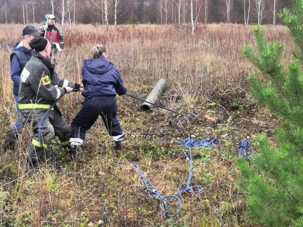 Дикого кабана спасли работники Подольского территориального управления ГКУ МО Мособлпожспас Дикого кабана спасли работники Подольского территориального управления ГКУ МО Мособлпожспас