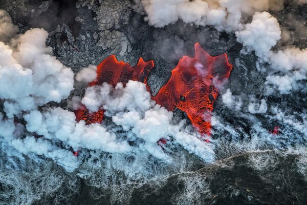 Luis Manuel Vilariño Lopez. Работа финалиста конкурса GDT European Wildlife Photographer of the Year 2019 Luis Manuel Vilariño Lopez. Работа финалиста конкурса GDT European Wildlife Photographer of the Year 2019