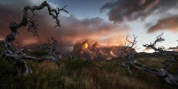 Danny Tan. Работа финалиста конкурса The EPSON International Pano Awards 2019 Danny Tan. Работа финалиста конкурса The EPSON International Pano Awards 2019