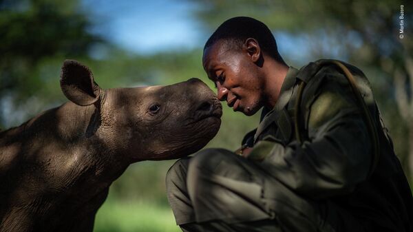 Martin Buzora. Шортлист Wildlife Photographer of the Year LUMIX People's Choice Award Martin Buzora. Шортлист Wildlife Photographer of the Year LUMIX People's Choice Award