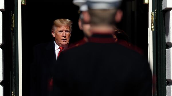 Президент США Дональд Трамп в Белом доме Президент США Дональд Трамп в Белом доме