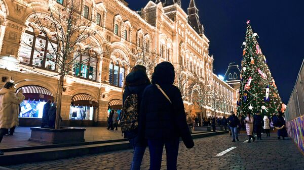 В центре Москвы на новогодние каникулы введут особый режим доступа