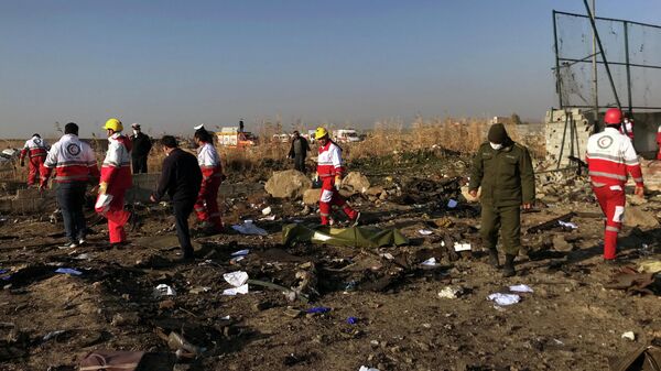 Картинки по запросу Муж стюардессы рухнувшего в Иране лайнера узнал о крушении в аэропорту