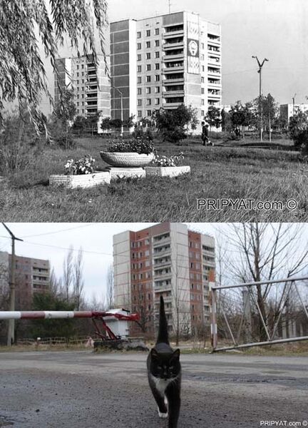 Город Припять Город Припять