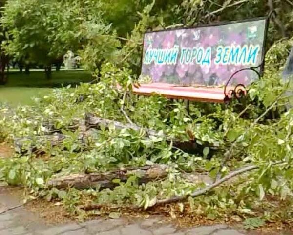 Гроза с сильным ветром и дождем прошла в Новосибирске Гроза с сильным ветром и дождем прошла в Новосибирске