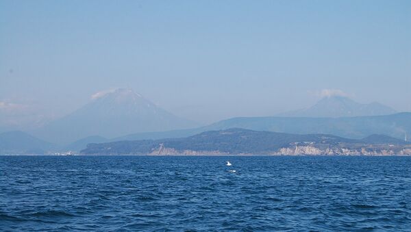 Камчатка. Архив Камчатка. Архив