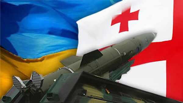 При поставках Грузии оружия Украина соблюдала все нормы - Джалагания При поставках Грузии оружия Украина соблюдала все нормы - Джалагания