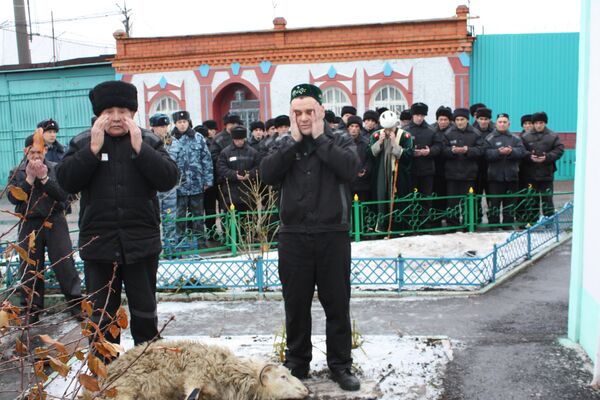 Заключенный имам совершает обряд жертвоприношения Заключенный имам совершает обряд жертвоприношения