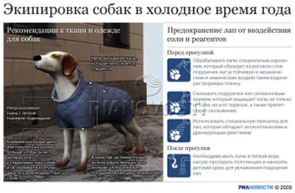 Экипировка собак в холодное время года Экипировка собак в холодное время года