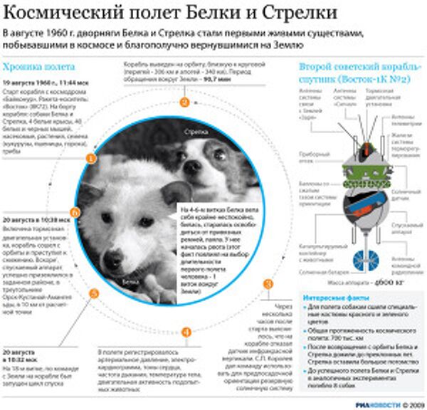 Космический полет Белки и Стрелки Космический полет Белки и Стрелки