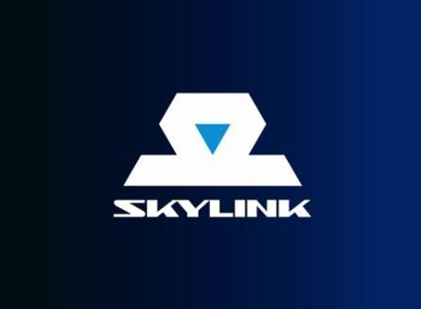 Логотип компании SkyLink. Архив Логотип компании SkyLink. Архив