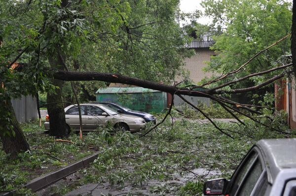 Последствия грозы Последствия грозы