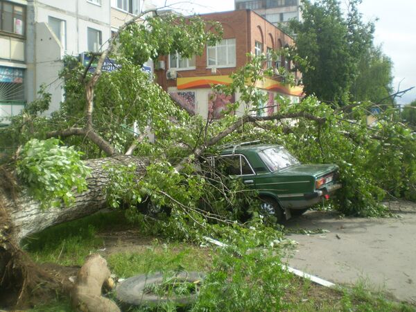 Последствия урагана в Москве Последствия урагана в Москве