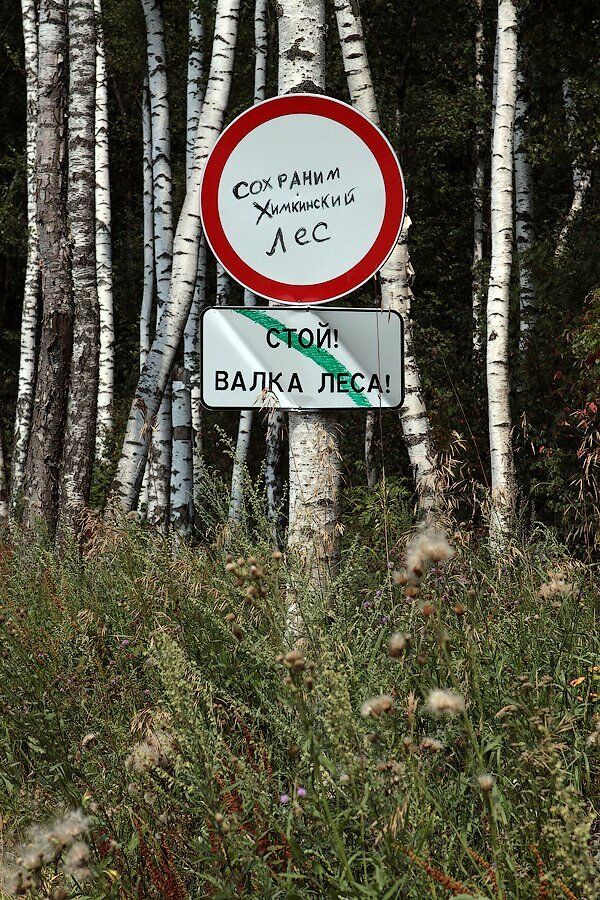 Химкинский лес Химкинский лес