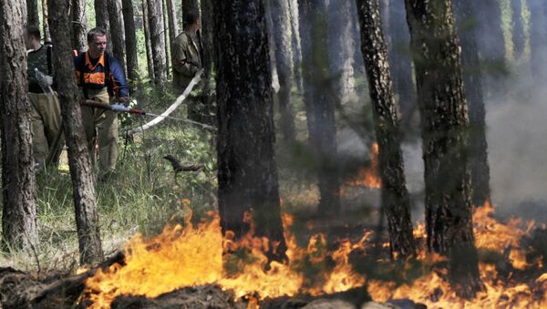 Пожары под Воронежем Пожары под Воронежем