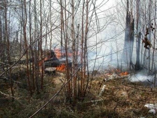 Лесной пожар Лесной пожар