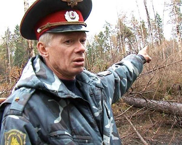 Замерзшие в подмосковном лесу девочка и ее тетя не дошли до дороги 2 км Замерзшие в подмосковном лесу девочка и ее тетя не дошли до дороги 2 км