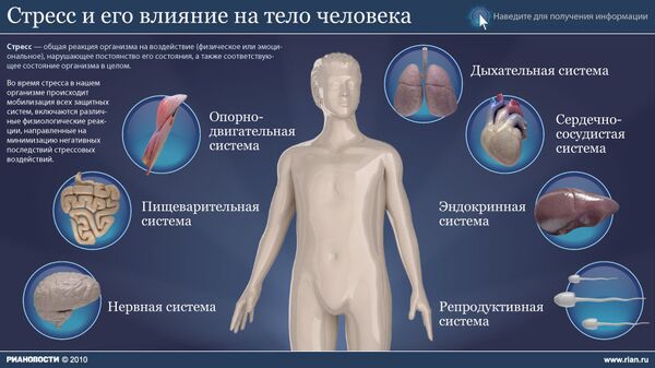 Стресс и его влияние на тело человека Стресс и его влияние на тело человека