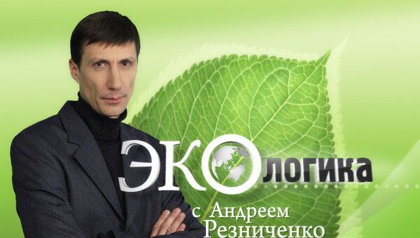Химкинский лес: как вырубить заросли лжи, а деревья оставить в покое Химкинский лес: как вырубить заросли лжи, а деревья оставить в покое