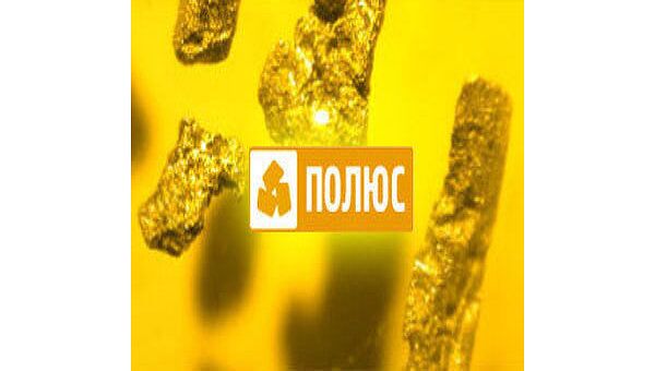 Полюс золото в 2010 году нарастило выручку на 42%, до $1,7 млрд Полюс золото в 2010 году нарастило выручку на 42%, до $1,7 млрд