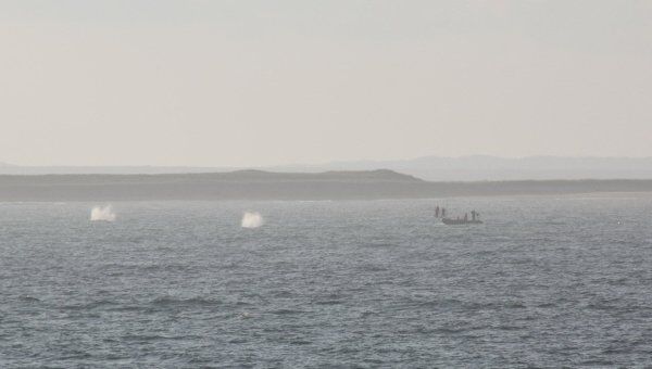 Охотское море. Архив Охотское море. Архив