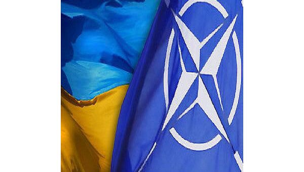 Украина и НАТО Украина и НАТО