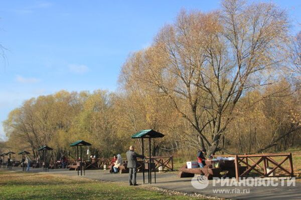 Золотая осень в Серебряном Бору Золотая осень в Серебряном Бору