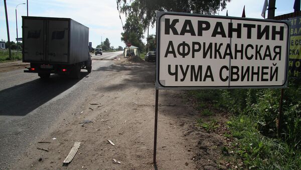 Карантин в связи со вспышками африканской чумы свиней. Архив Карантин в связи со вспышками африканской чумы свиней. Архив