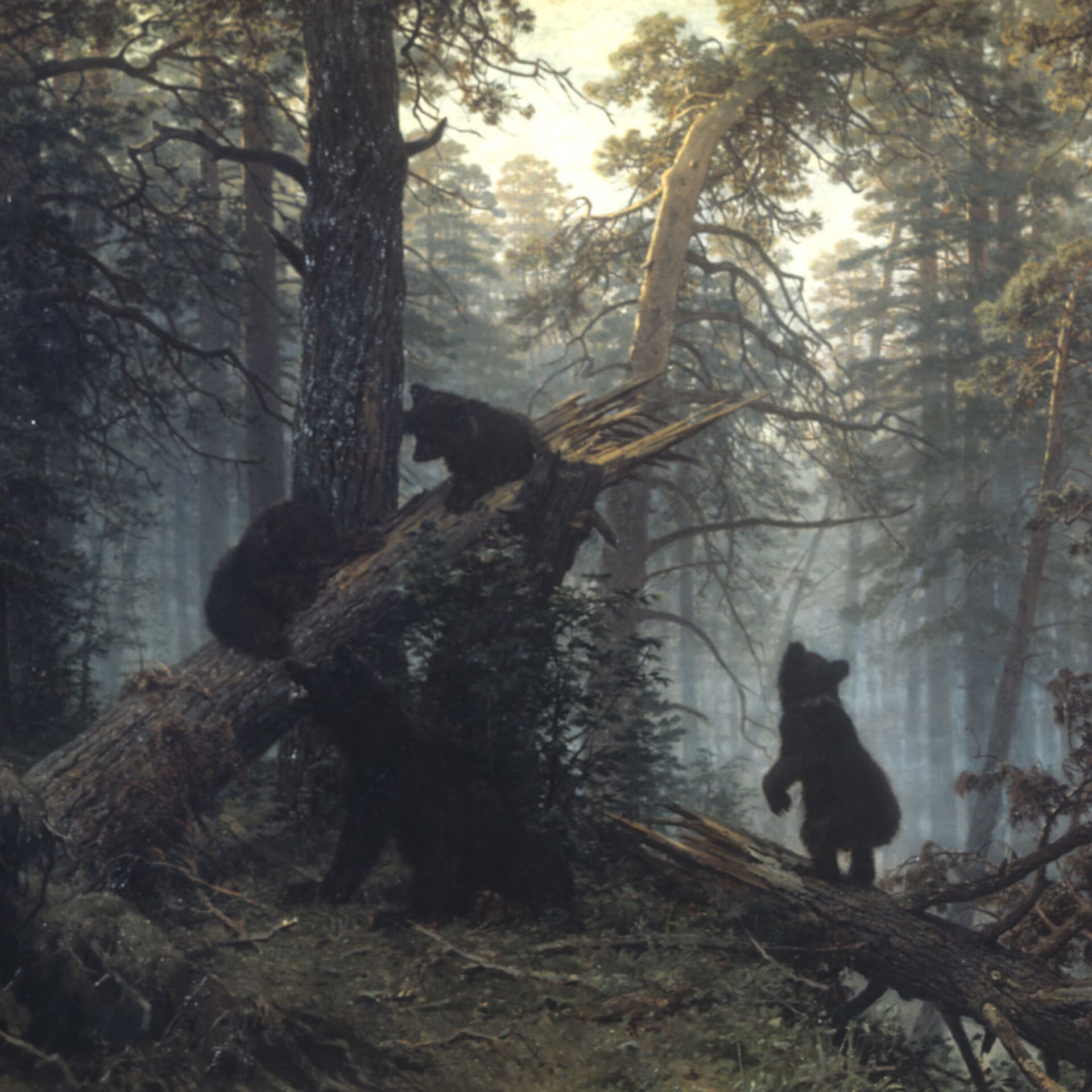Картина три медведя в лесу шишкин
