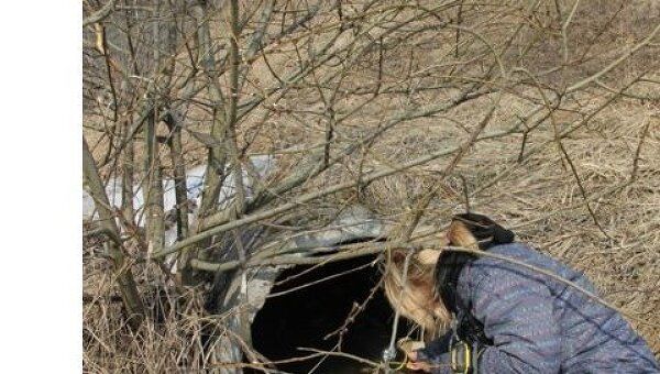 Поиски ребенка велись на территории садовых участков Поиски ребенка велись на территории садовых участков